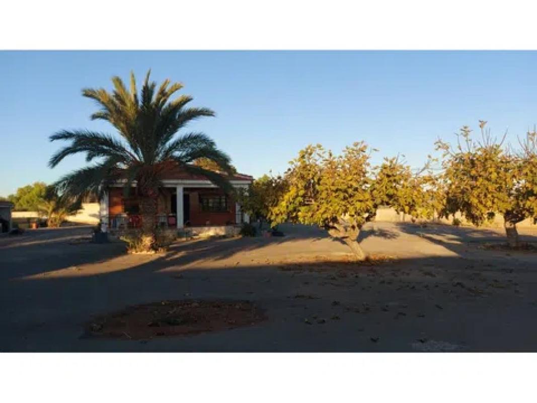 Venta de chalet independiente en Barrio Zona Deportiva-Nuevo Altabix, Elche / Elx
 photo 5