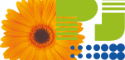 logo firmy
