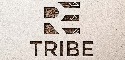 logo firmy
