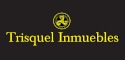 logo firmy