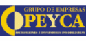 logo firmy