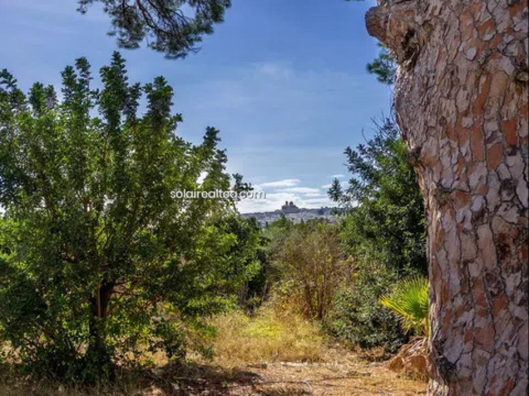 Propiedades en venta y alquiler en España photo 5
