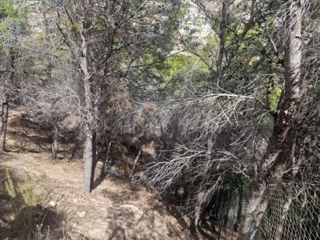 Terreno en venta en Altea, Alicante photo 1