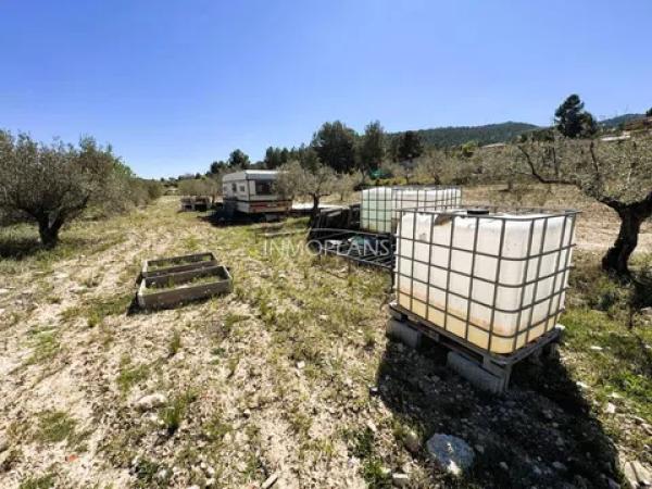 Terreno en calle Cervantes, 69 photo 4