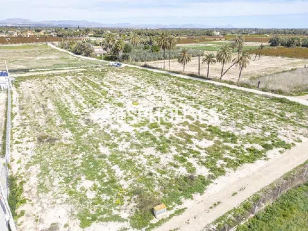 Terreno en venta en Elche / Elx, Alicante photo 1