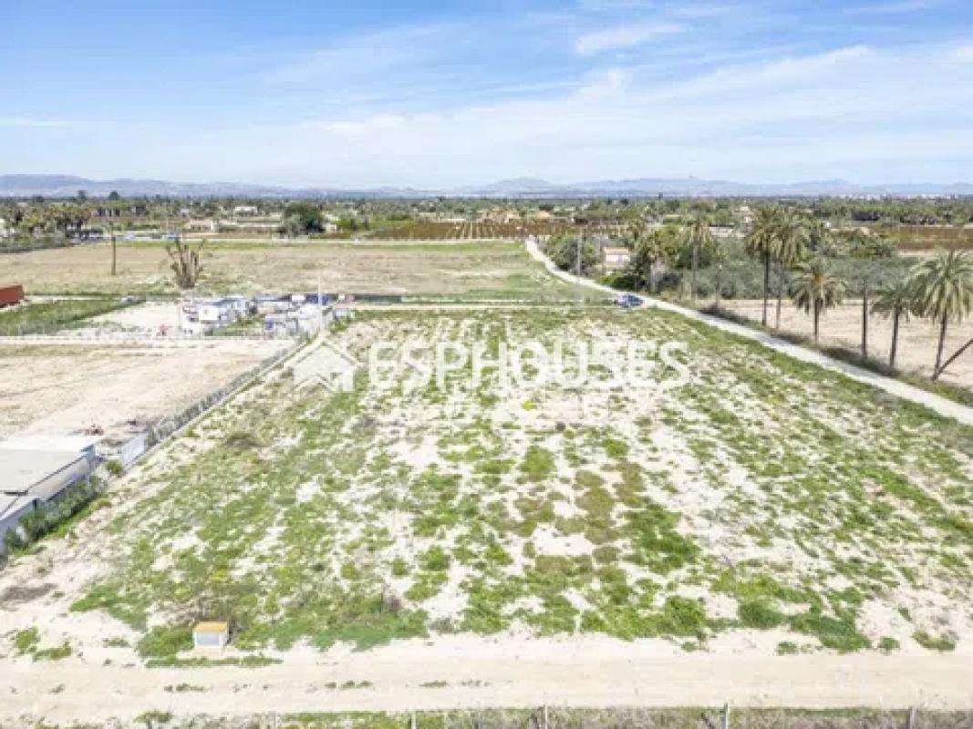 Terreno en venta en Elche / Elx, Alicante photo 2