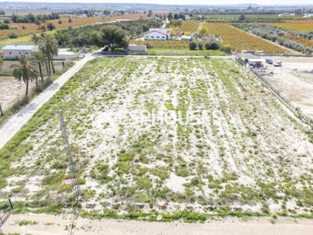 Terreno en venta en Elche / Elx, Alicante photo 3