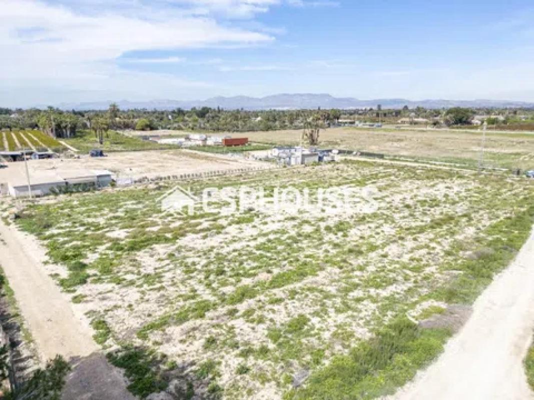 Terreno en venta en Elche / Elx, Alicante photo 5