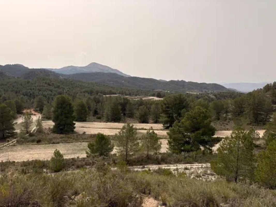 Terreno en venta en Petrer, Alicante photo 3