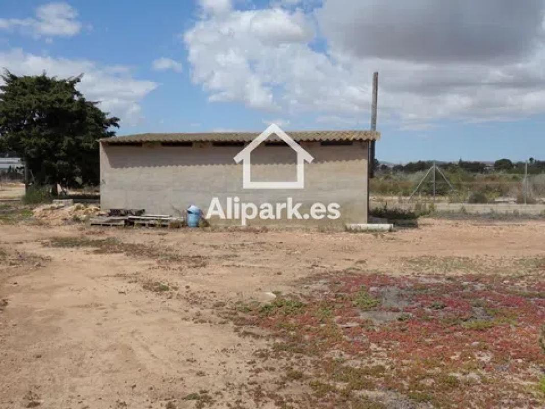 Land for sale in Elche / Elx, Alicante photo 1