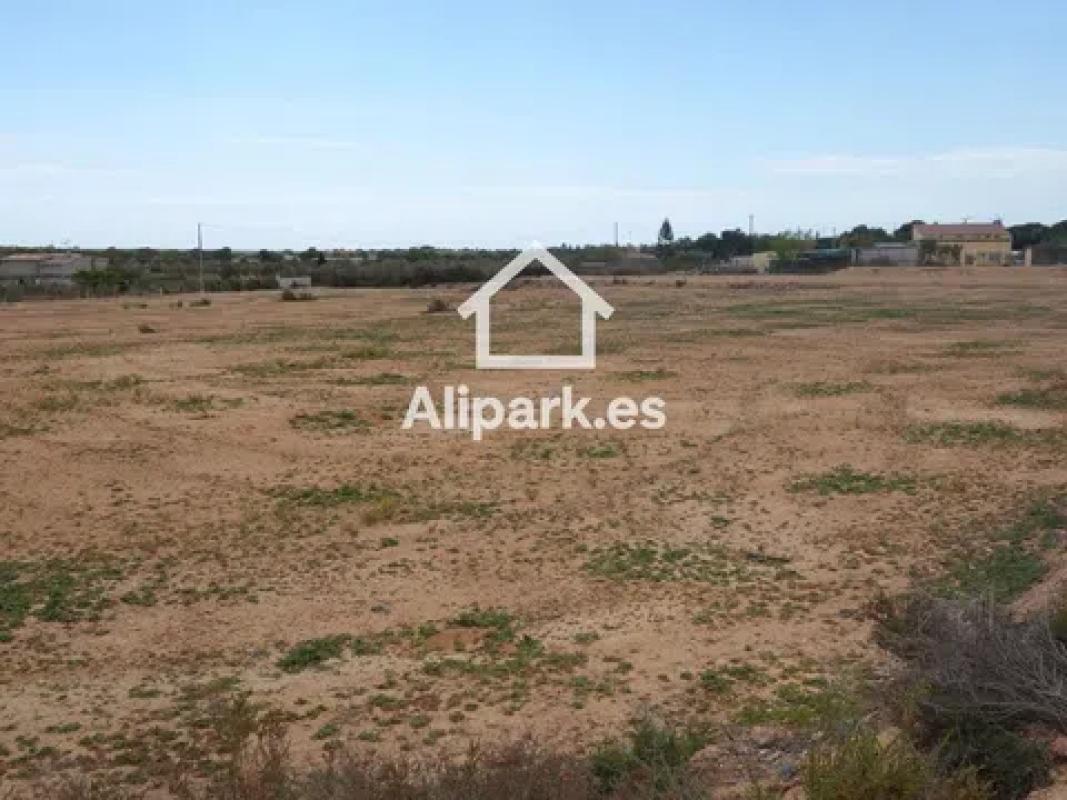 Land for sale in Elche / Elx, Alicante photo 2
