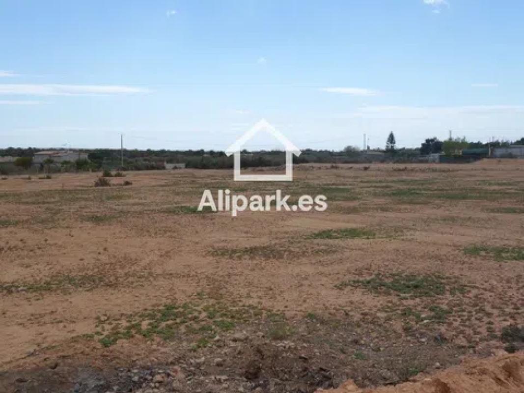 Land for sale in Elche / Elx, Alicante photo 3