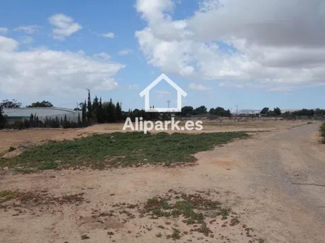 Land for sale in Elche / Elx, Alicante photo 4