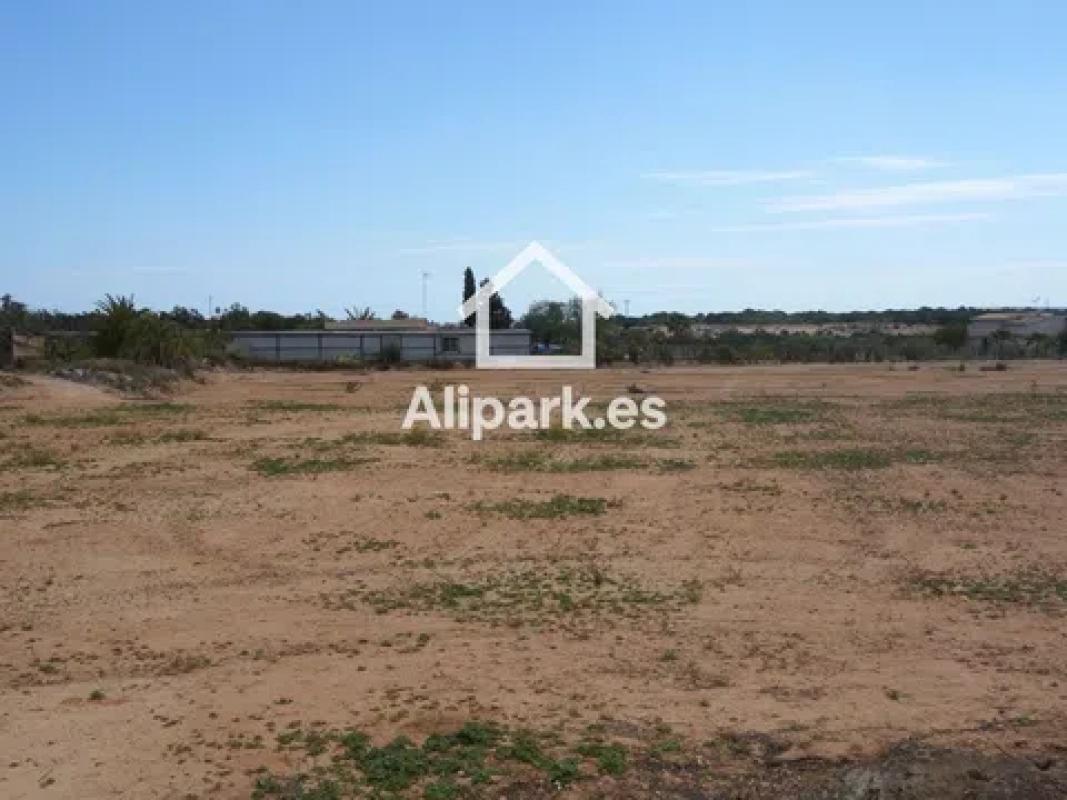 Land for sale in Elche / Elx, Alicante photo 5