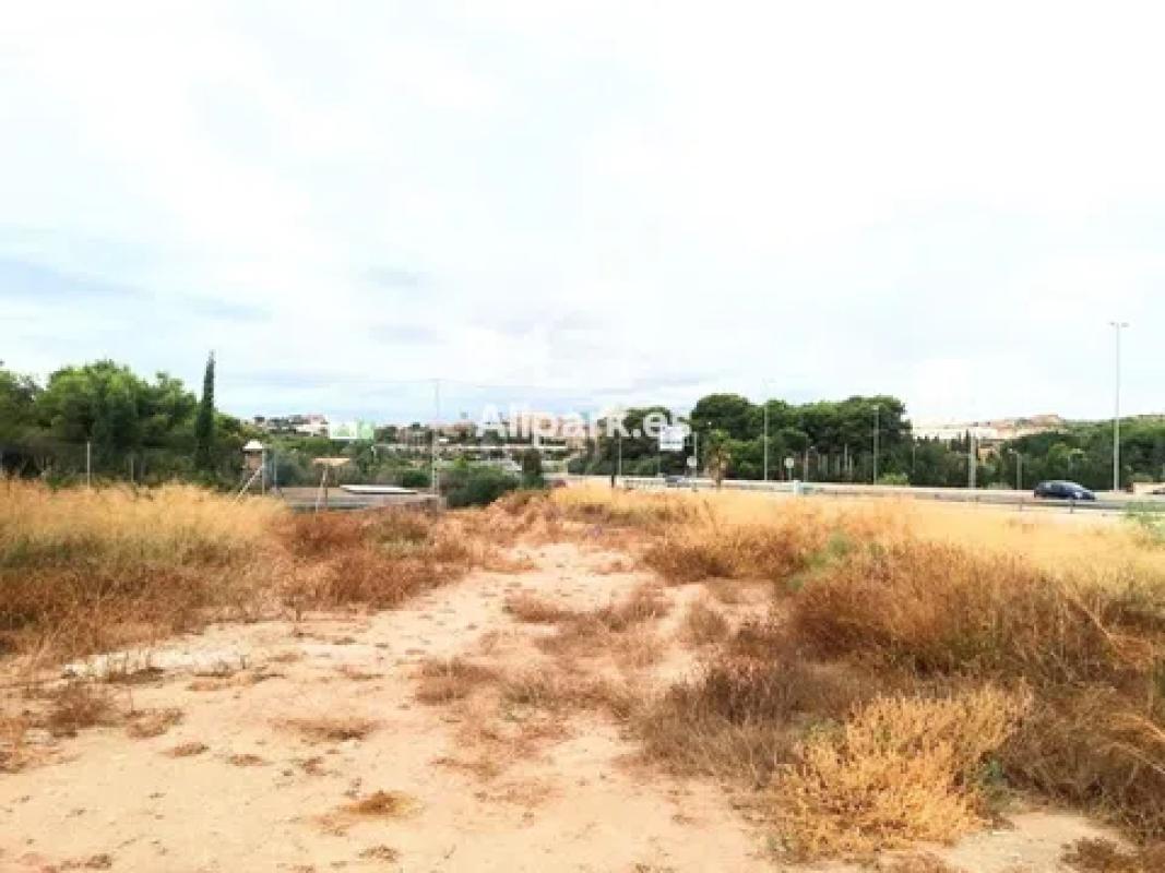 Terreno en venta en Alicante / Alacant, Alicante photo 3