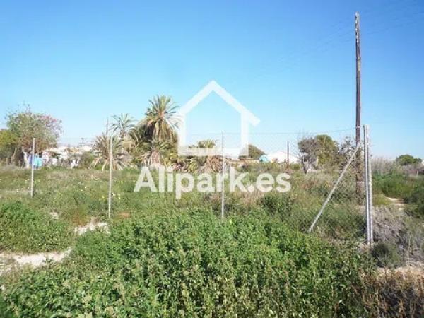 Terreno en Centro photo 2