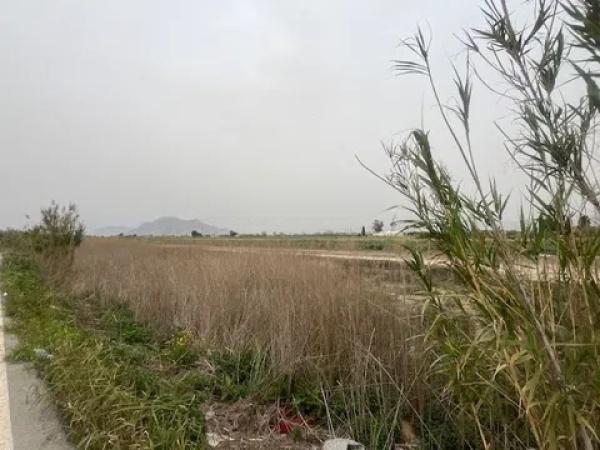 Terreno en Almoradí photo 1