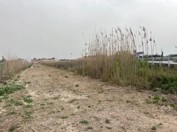 Terreno en Almoradí photo 3
