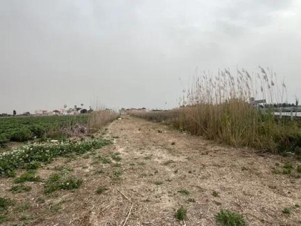 Terreno en Almoradí photo 4