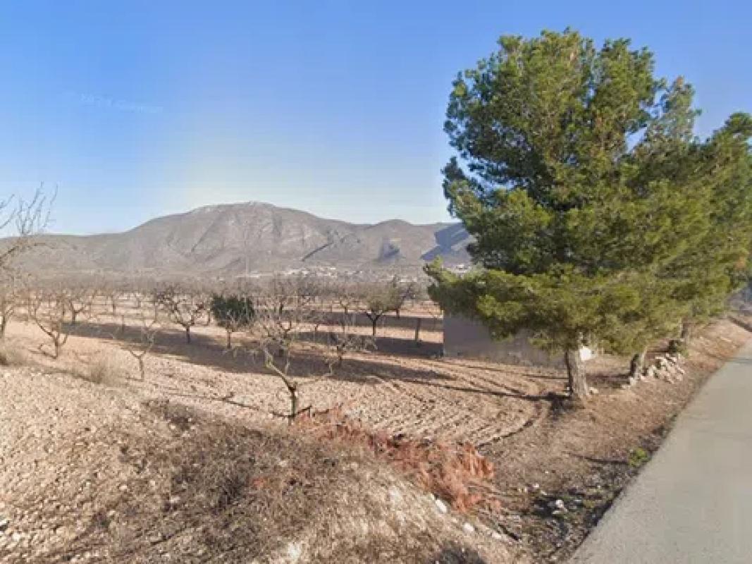 Terreno en venta en Hondón de los Frailes, Alicante photo 1