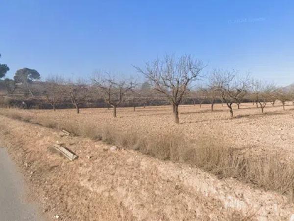 Terreno en camino Carranza, 5 Carranza thumbnail 1