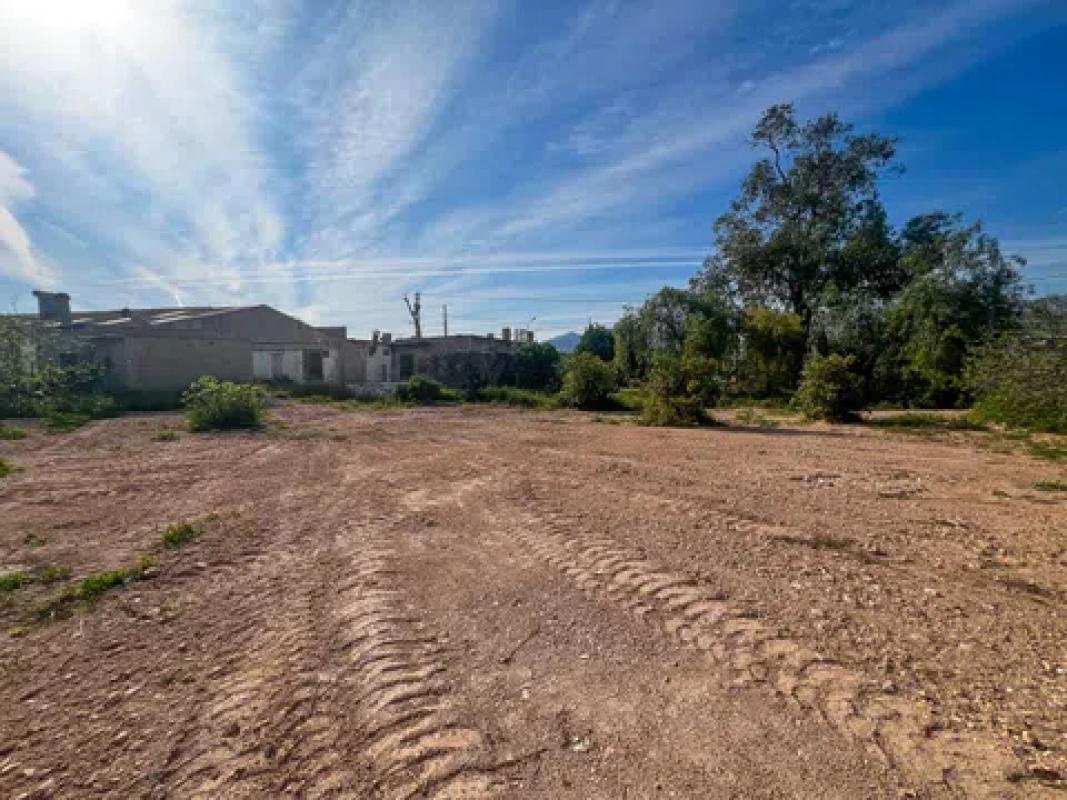 Land for sale in Crevillente, Alicante photo 1