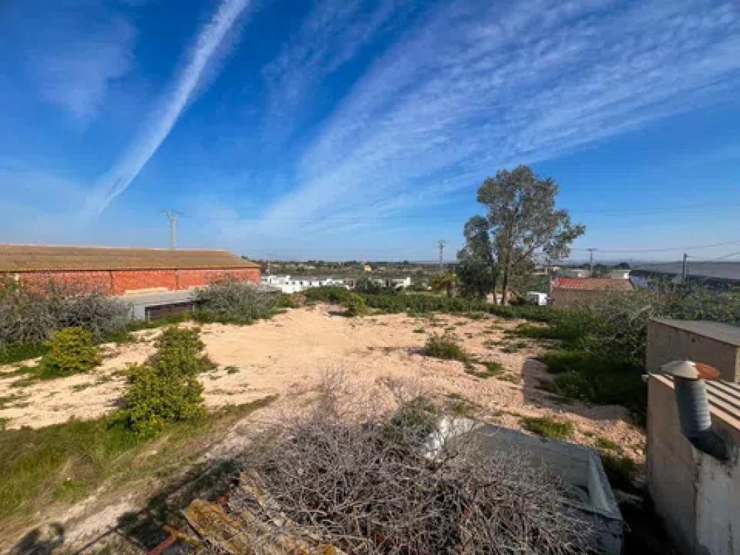 Land for sale in Crevillente, Alicante photo 3