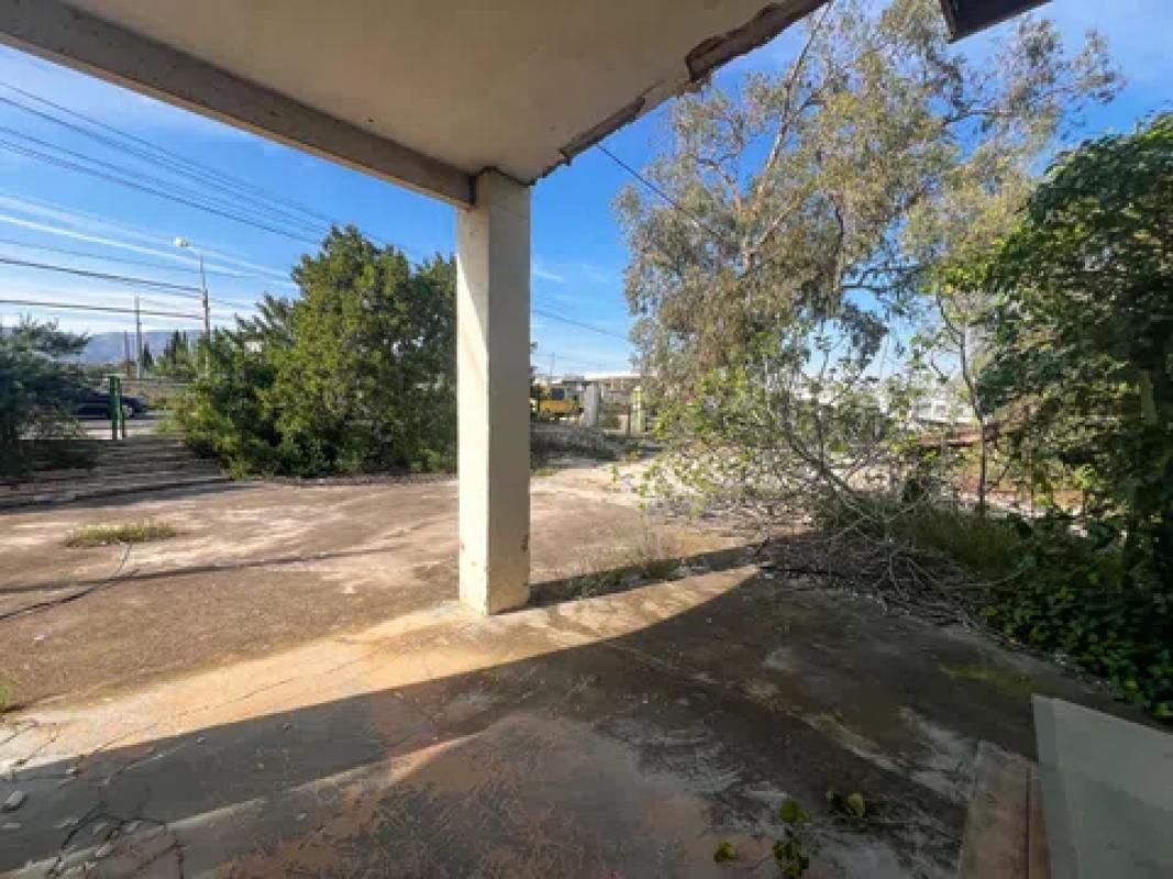 Land for sale in Crevillente, Alicante photo 4
