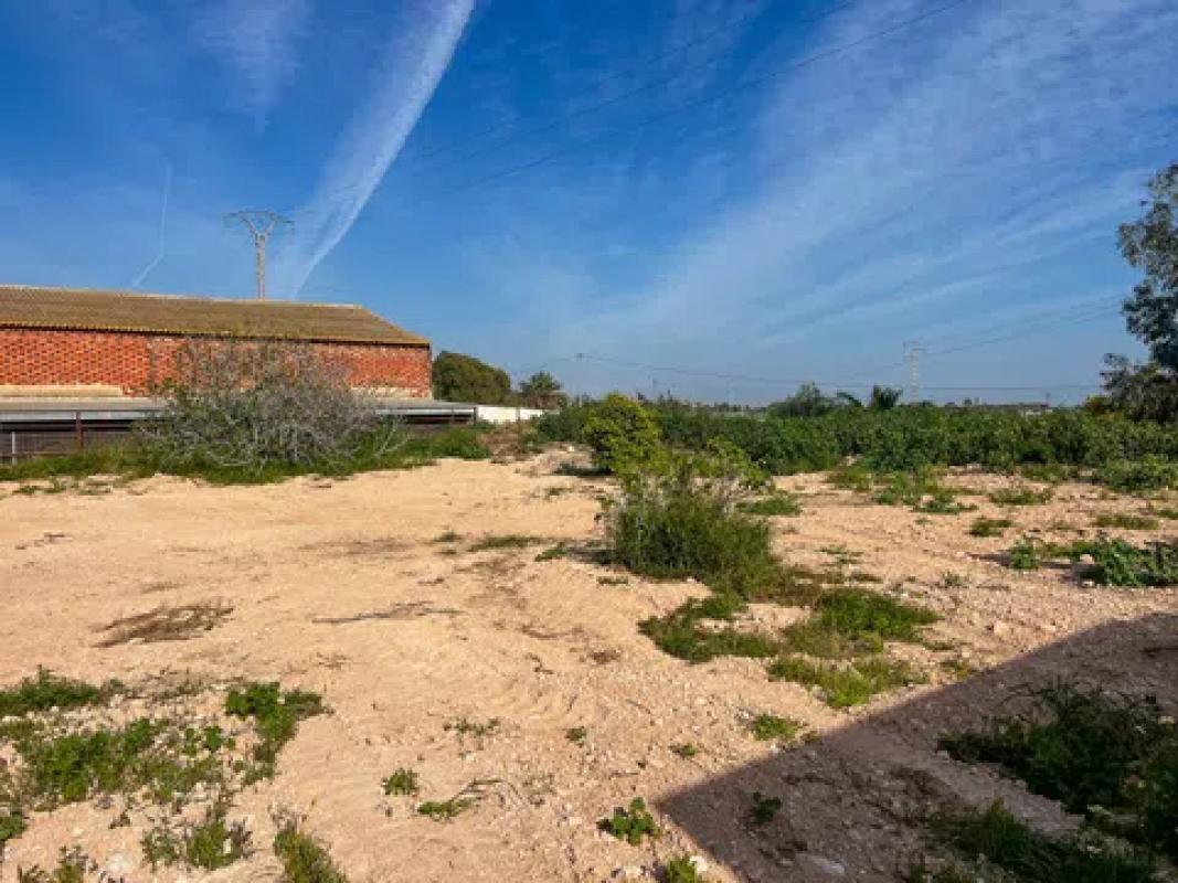 Land for sale in Crevillente, Alicante photo 5