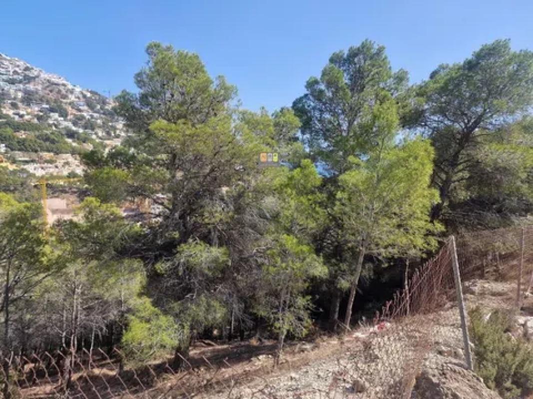 Land for sale in Altea, Alicante photo 2