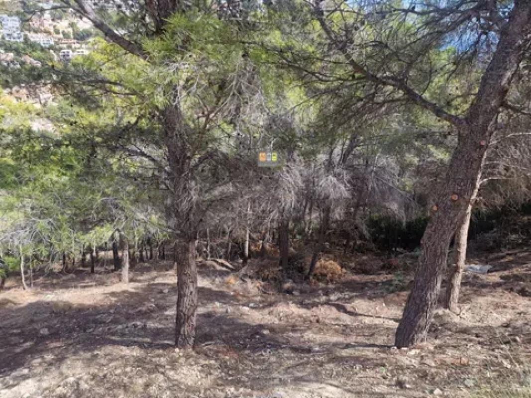 Land for sale in Altea, Alicante photo 3