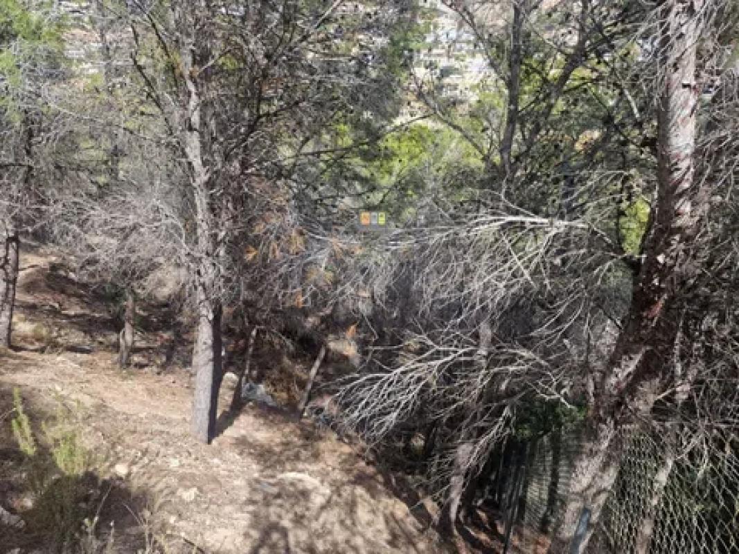 Land for sale in Altea, Alicante photo 4