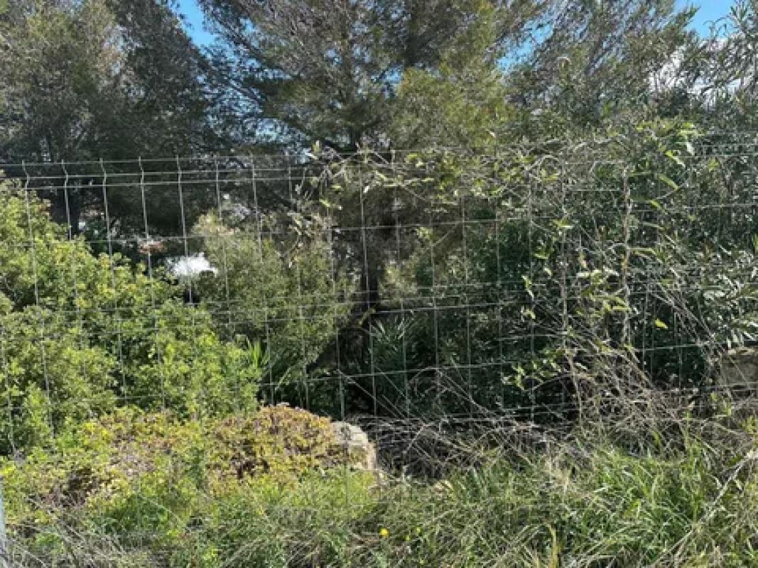 Działka na sprzedaż w Pego, Alicante photo 5