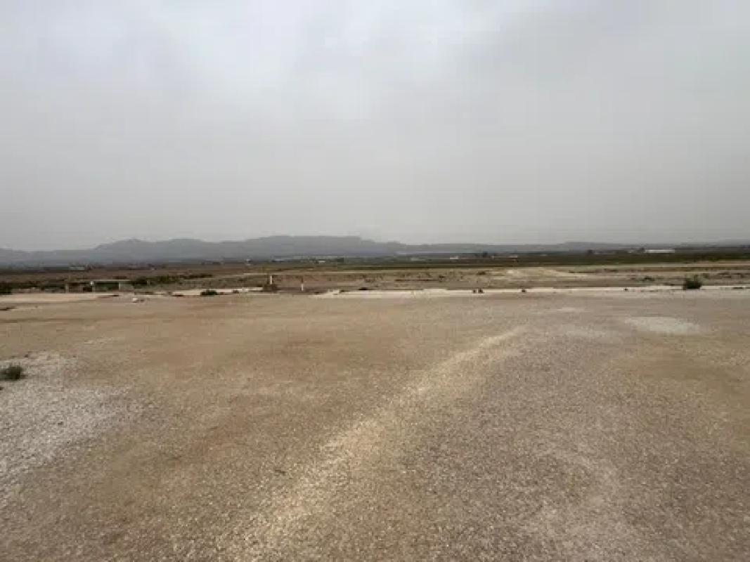 Terreno en venta en Catral, Alicante photo 3