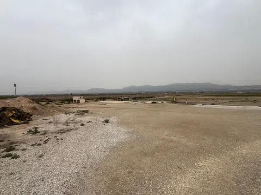 Terreno en venta en Catral, Alicante photo 4