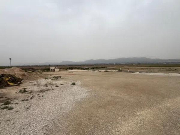Terreno en Catral photo 4