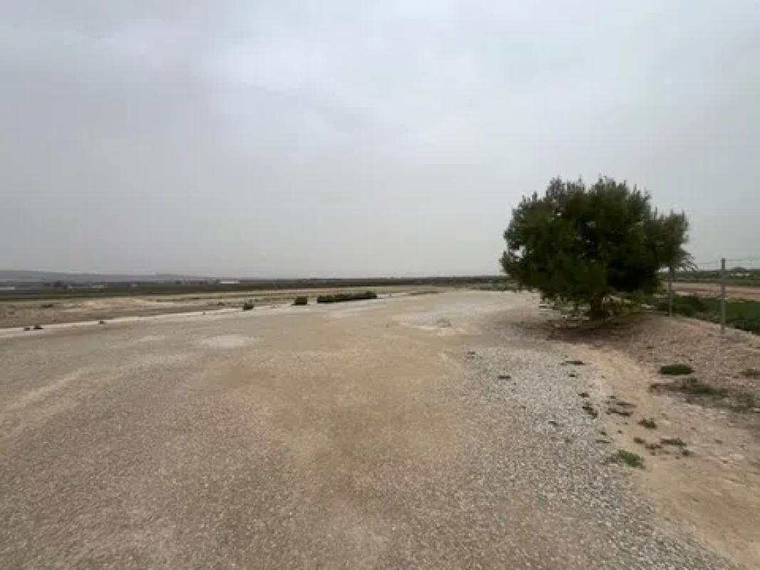 Terreno en venta en Catral, Alicante photo 5
