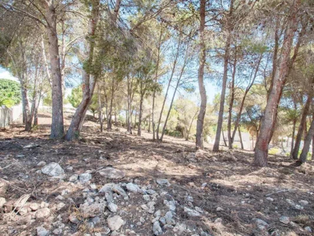 Участок земли на продажу в Морайра, Аликанте photo 5