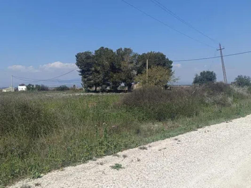 Terreno en venta en Elche / Elx, Alicante photo 4