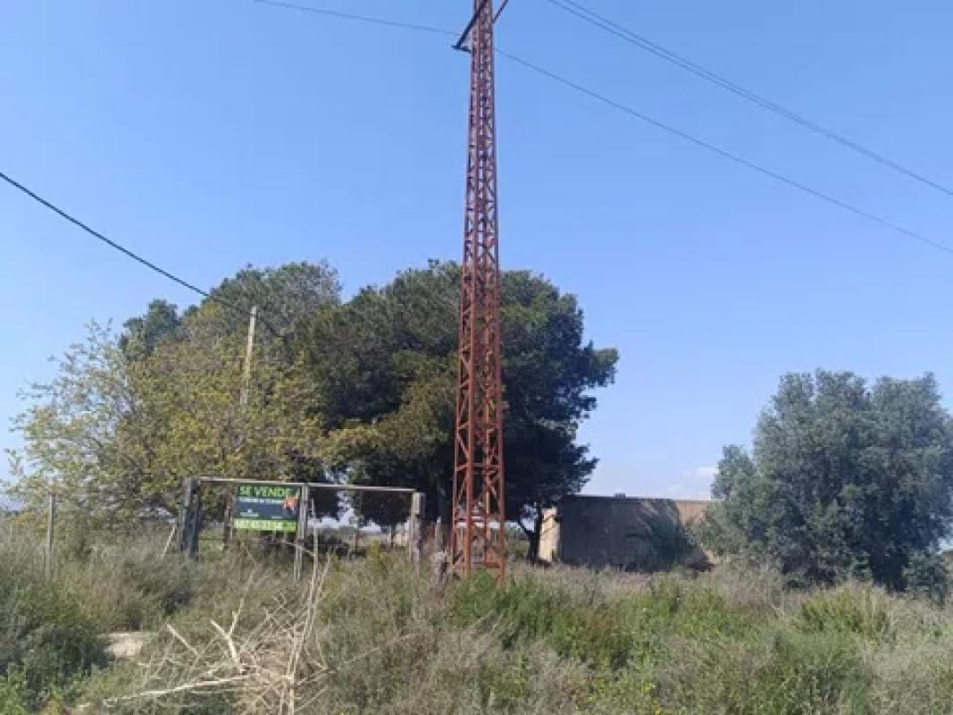 Terreno en venta en Elche / Elx, Alicante photo 5