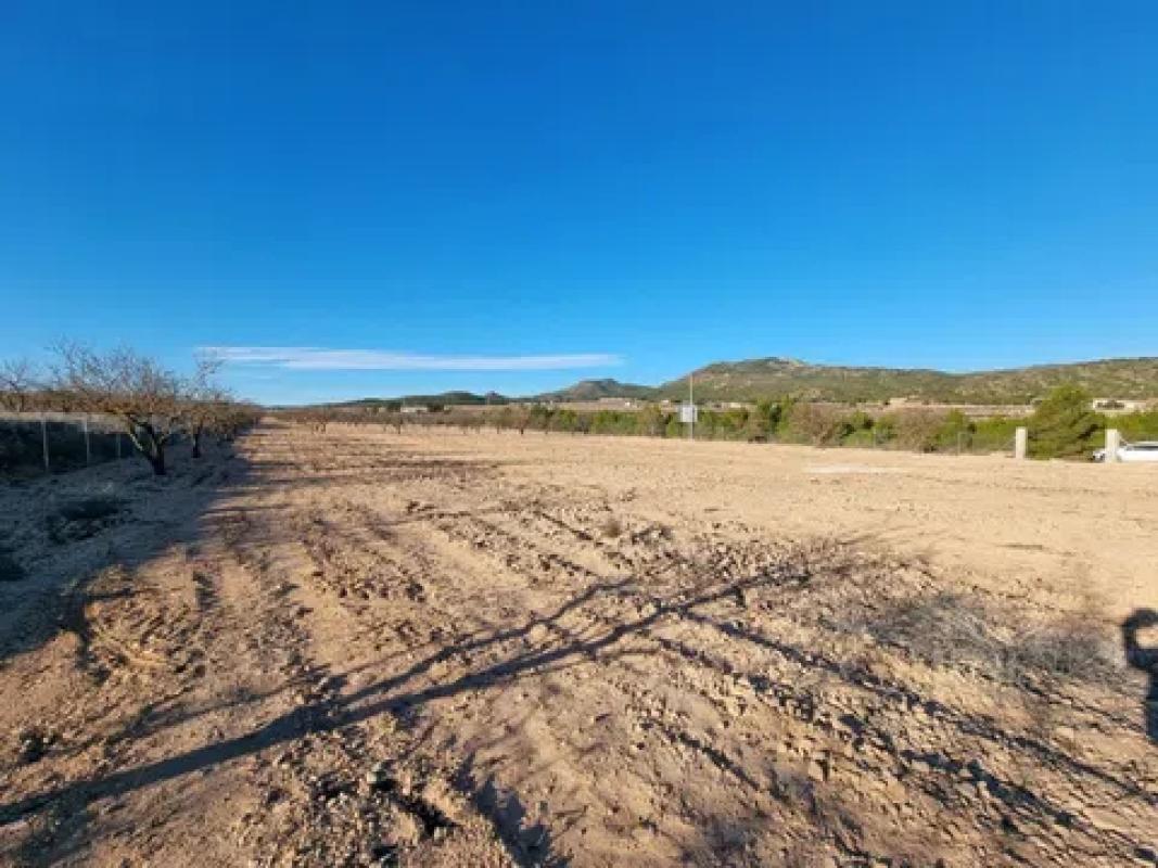Land for sale in Salinas, Alicante photo 1