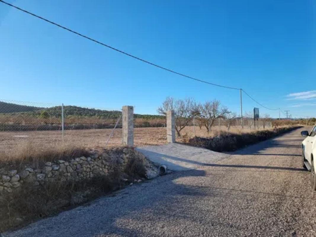 Land for sale in Salinas, Alicante photo 2
