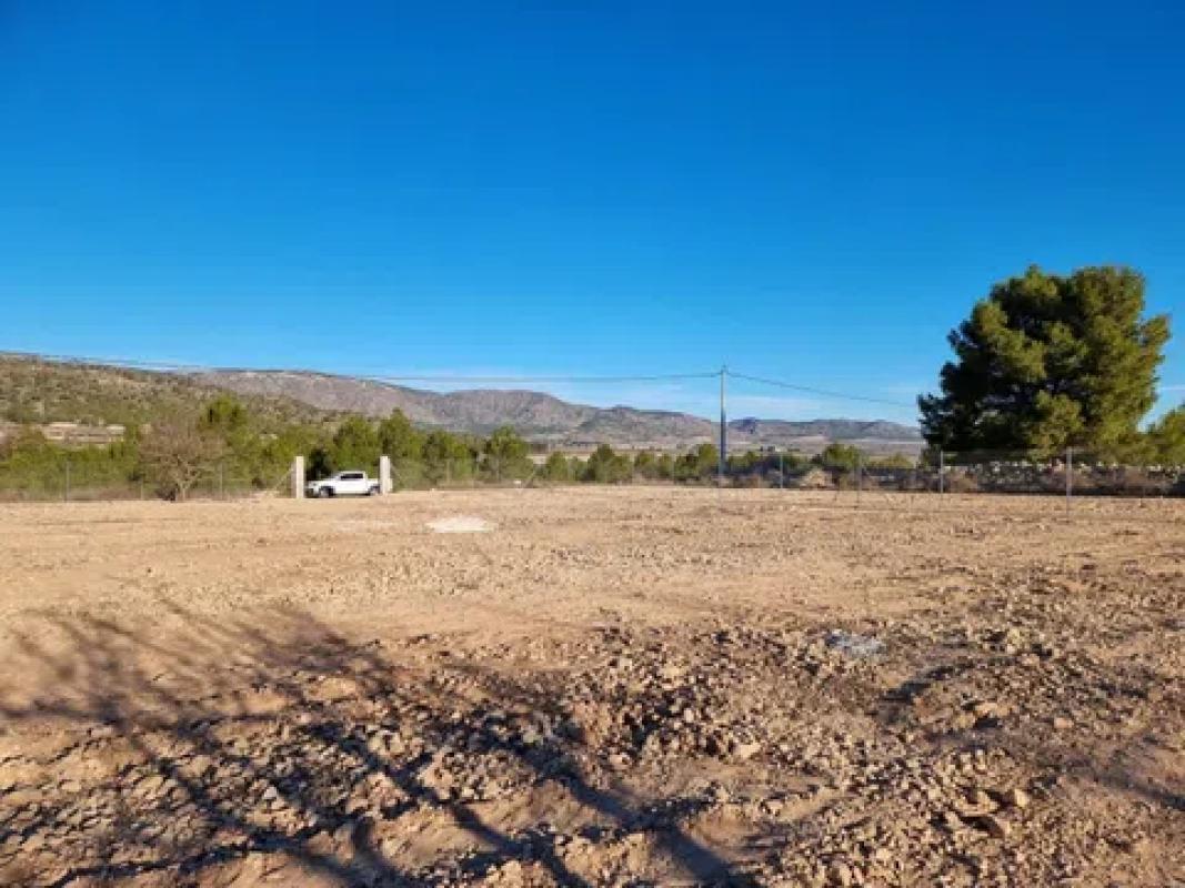 Land for sale in Salinas, Alicante photo 3