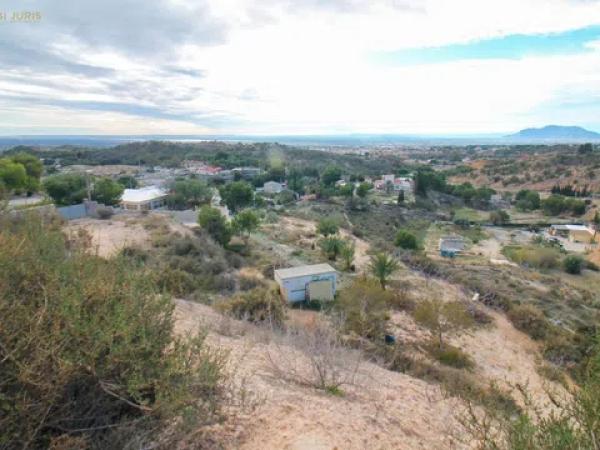 Terreno en Crevillente photo 1