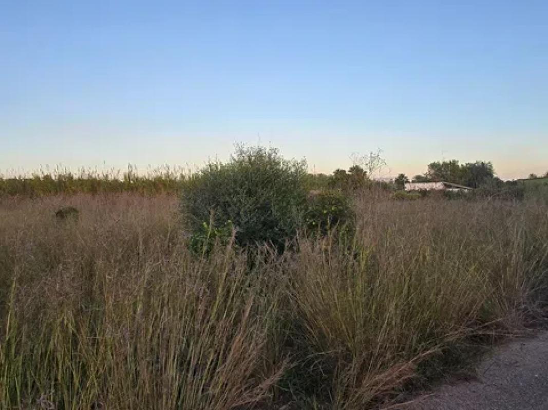 Terreno en venta en Denia, Alicante photo 2