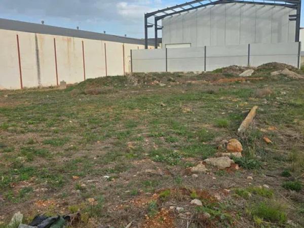 Terreno en avenida Valencia photo 4