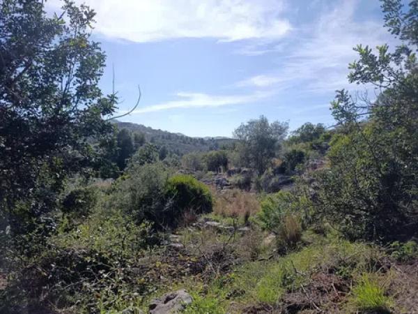 Terreno en Rafol de Almunia photo 1
