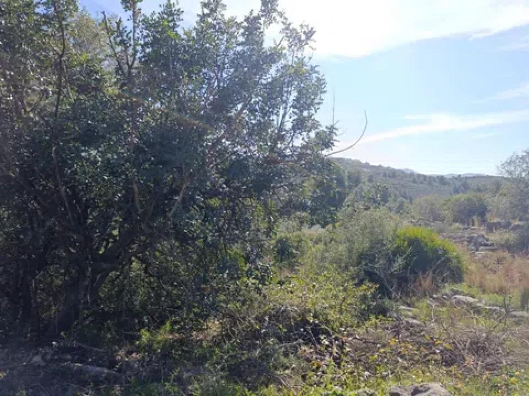 Działka na sprzedaż w Rafol de Almunia, Alicante photo 2