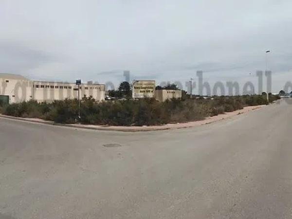 Terreno en Crevillente photo 1