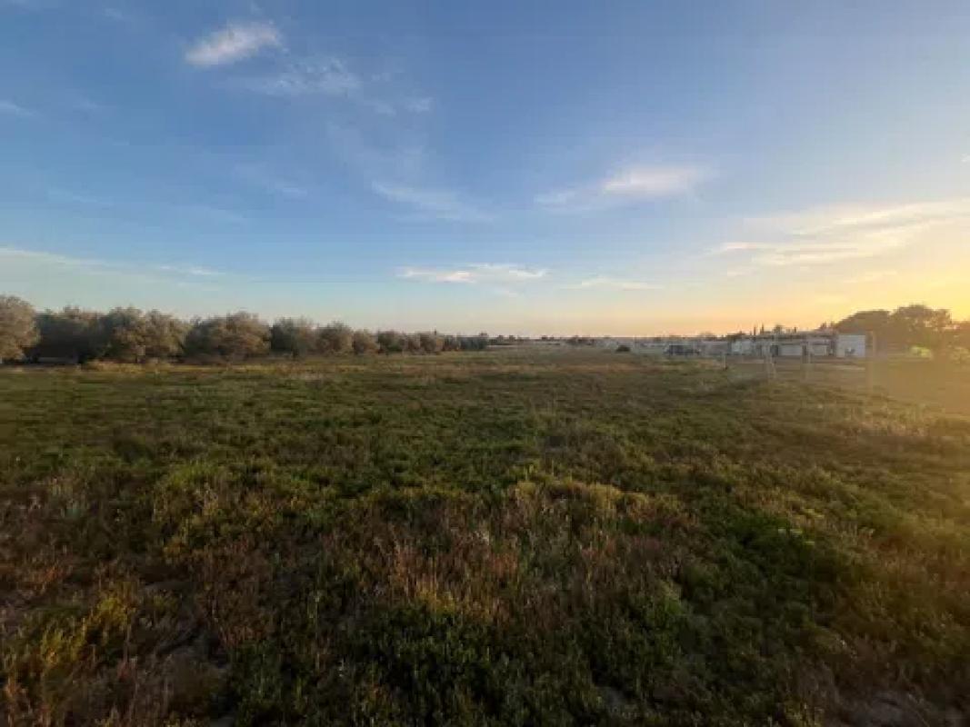 Terreno en venta en Mutxamel, Alicante photo 2